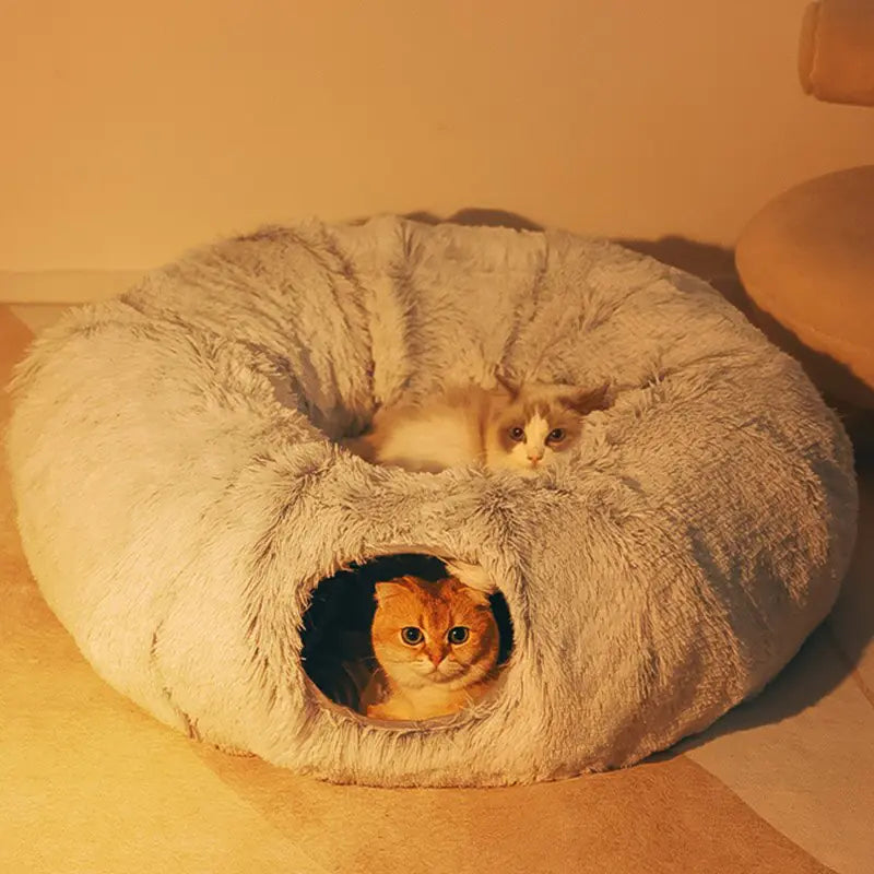 Cat Nest