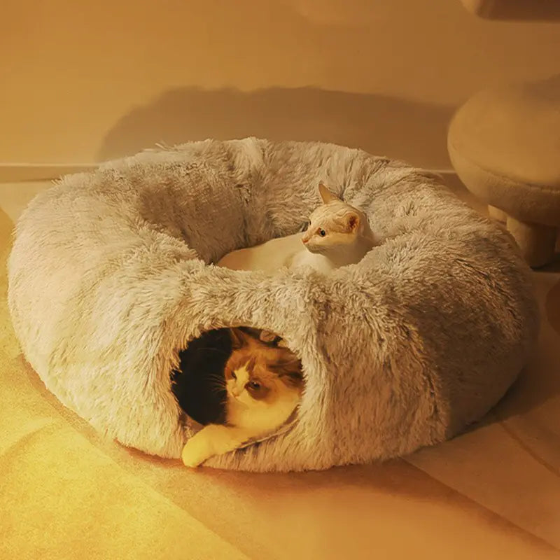 Cat Nest