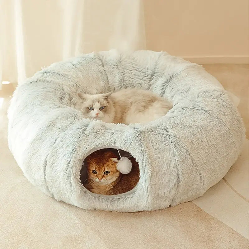 Cat Nest